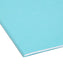 Interior File Folders, Aqua Color, Letter Size, Set of 100, 086486102353