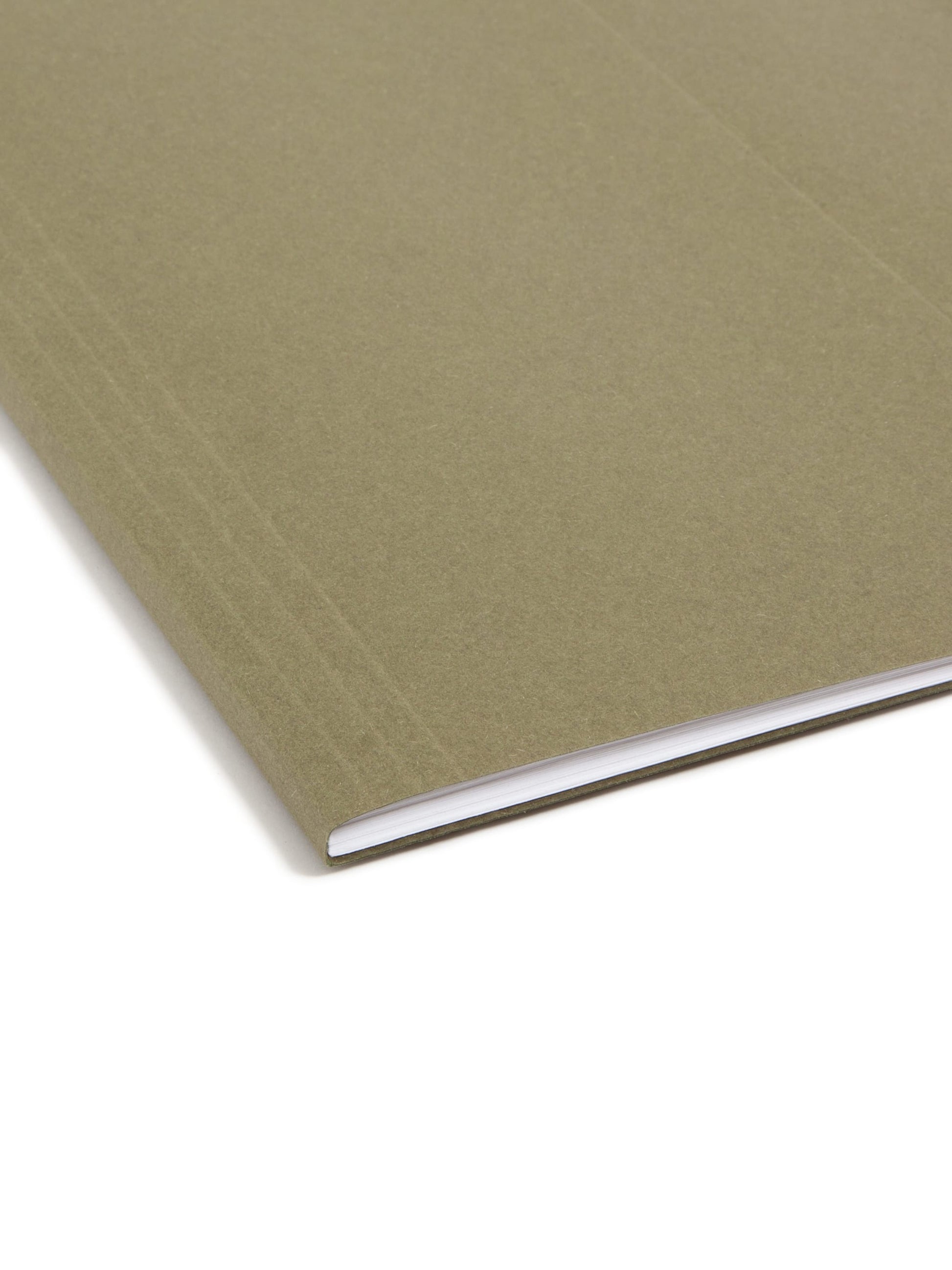 100% Recycled Hanging File Folders, Standard Green Color, Letter Size, Set of 25, 086486650014