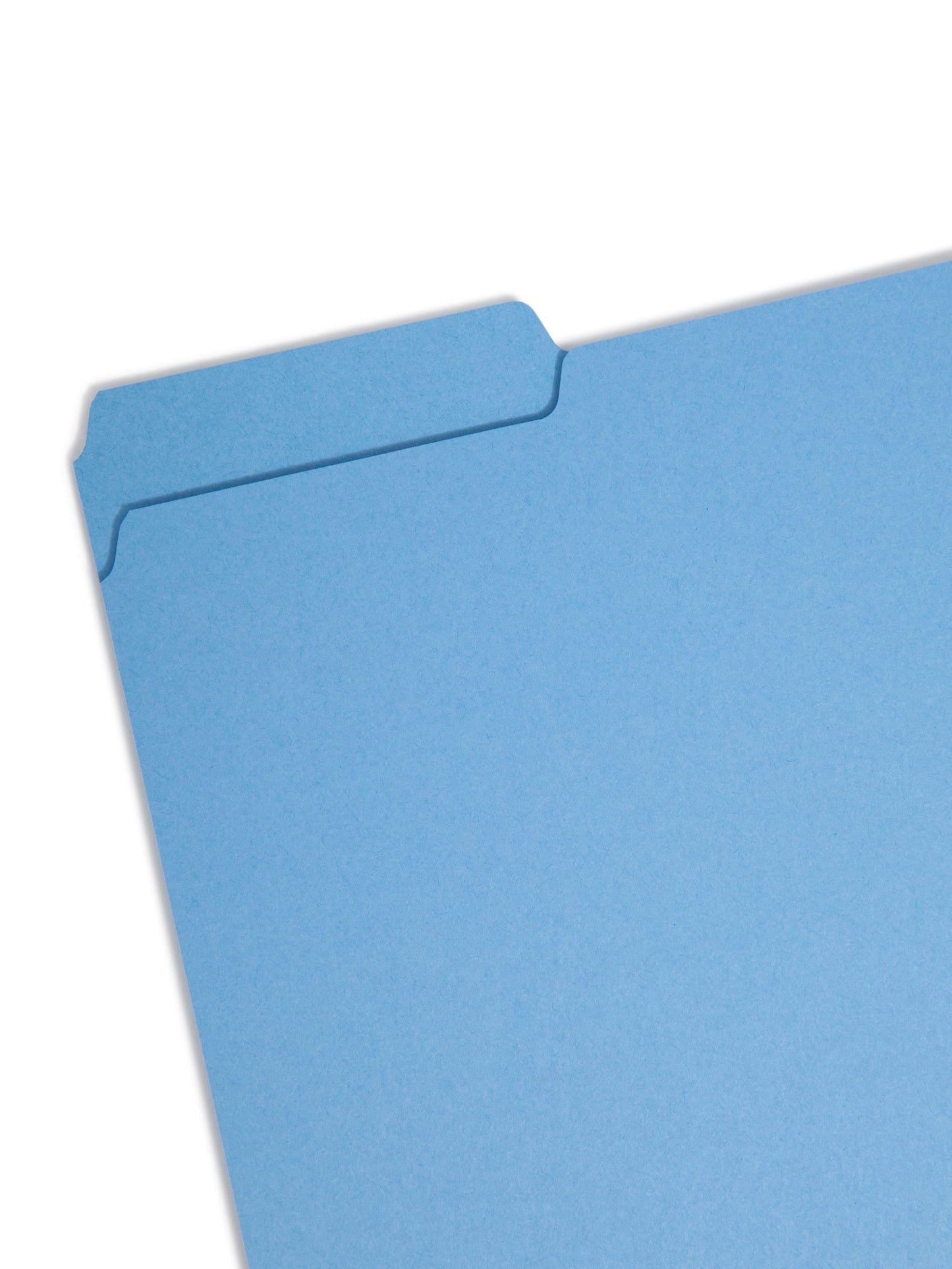 Interior File Folders, Blue Color, Letter Size, Set of 100, 086486102391